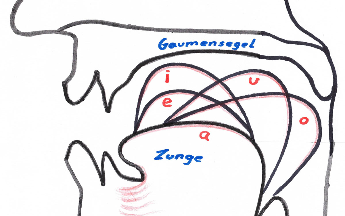 Sketch Tongue position Vowels A,E,I,O,U