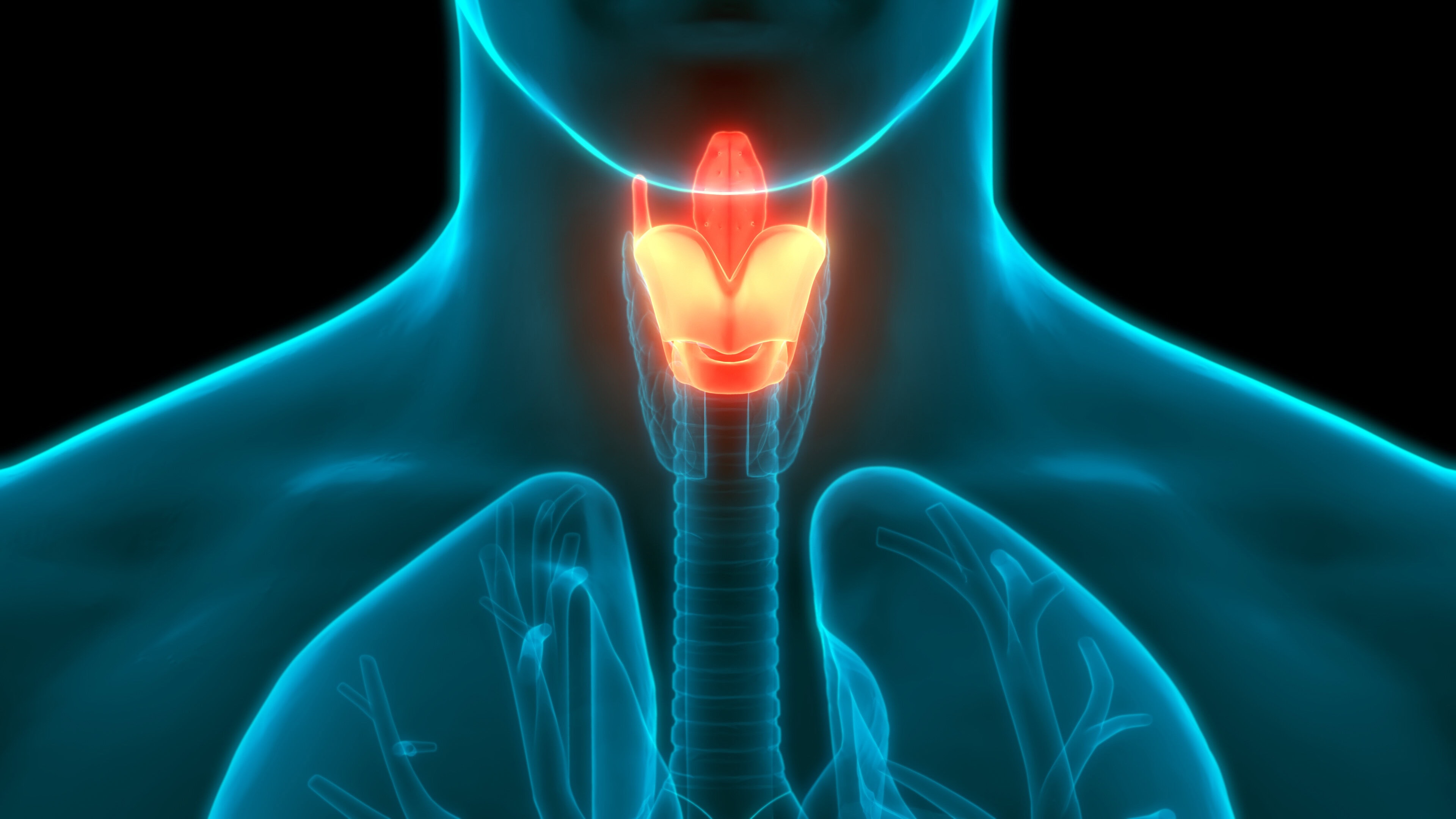 Blo Kehlkopfstellung beim Singen von Bernadette Kube